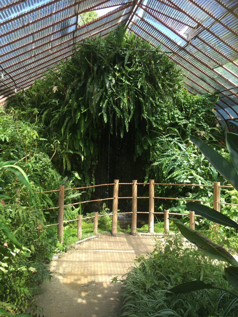 Alaise Ecopitchoun en bambou et alèse